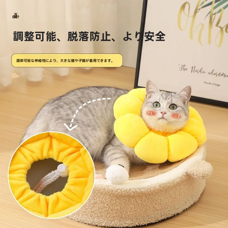 猫飼いが買ってよかったもの・悪かったもの正直に言う 調整可能なブルーとホワイトのエリザベスカラー