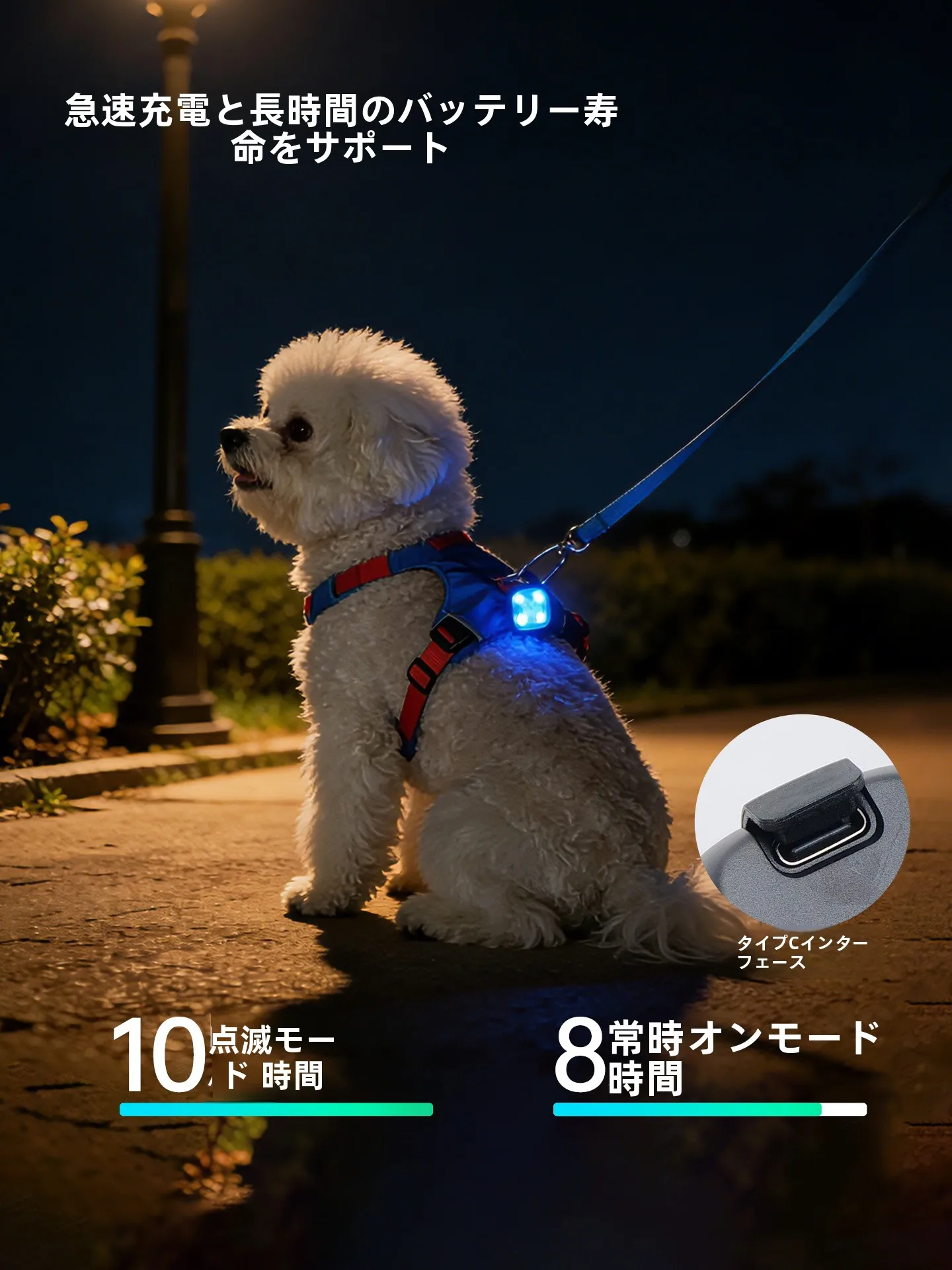 愛犬のための夜用LEDライト：散歩・迷子防止に最適な100均グッズ