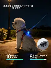 愛犬のための夜用LEDライト【散歩・迷子防止・ペット用】