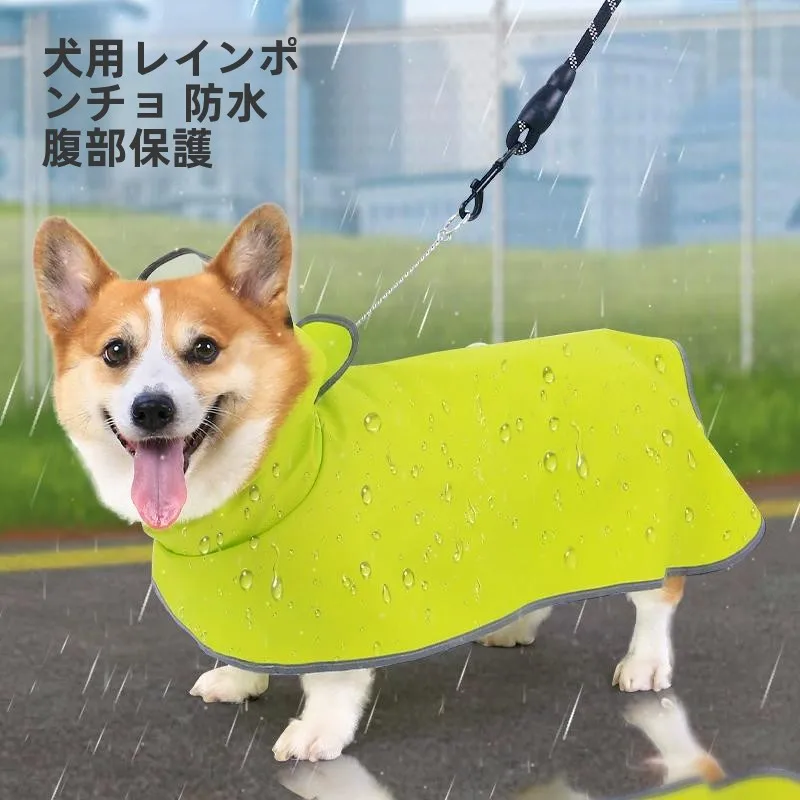 キャンプ道具を節約調達｜実際に使ってみた結果　失敗しない選定ガイド