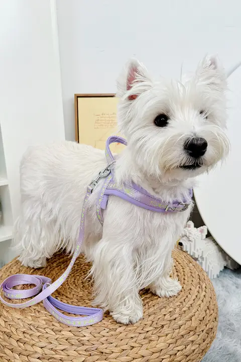 犬用 胸部ハーネスリード【防脱出・コーギー・ウエストハイランド・子犬対応】
