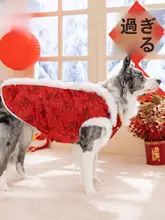 大型犬用 冬用唐装【保温・金毛・ボーダーコリー対応】
