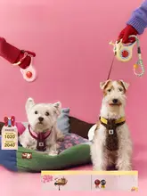 ペット用 伸縮式リード【リンゴデザイン・ハーネス付き】（セットアップ対応）