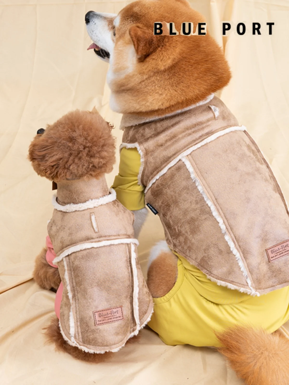 犬のお散歩グッズをコスパ良く揃える方法｜厚手スウェードコートで解決する実践ガイド