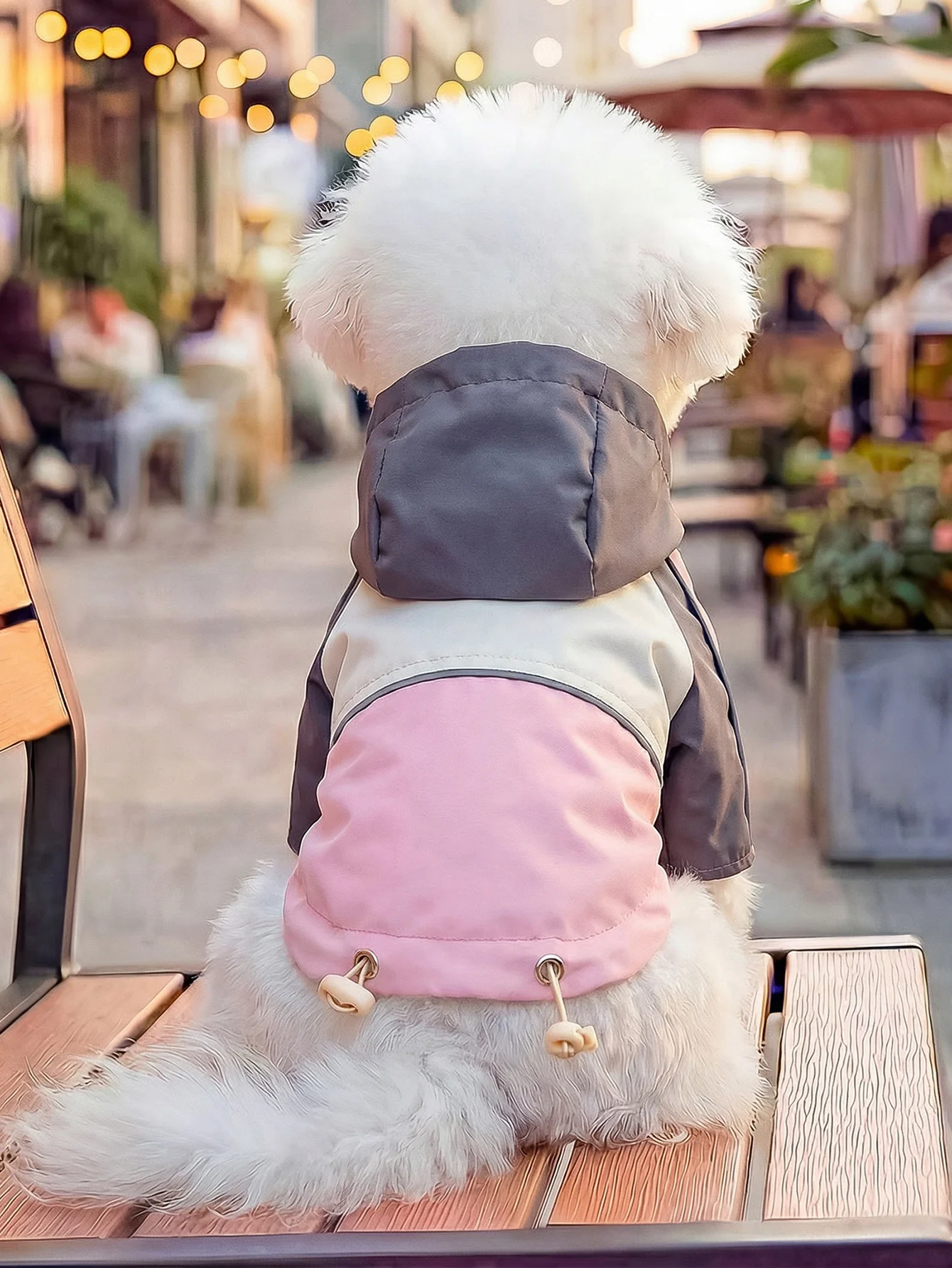 春秋用ペット用ウェア：軽量トレッキングスタイルで小型犬のアウトドアをサポート