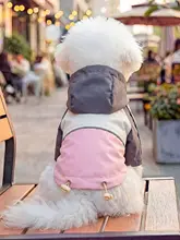 春秋用 ペット用 ウェア【軽量・小型犬用・トレッキングスタイル】