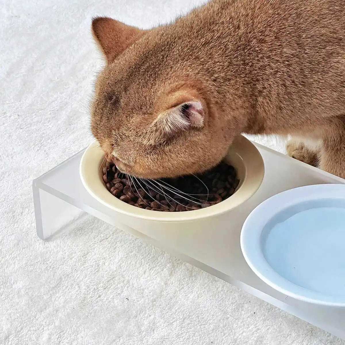 猫用陶器製フライングディスク型食器：高脚設計とアクリル首サポートの実用性