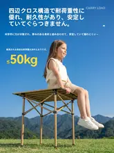 ROCKBROS 軽量折りたたみキャンプテーブル【アウトドア・ピクニック・収納便利】