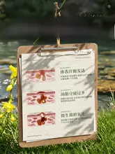 RUYI 肌に優しい！持続型デオドラントロールオン【女性用・すっきり爽快・汗の匂いを防ぐ】