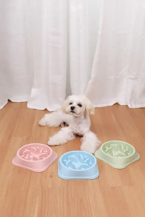 犬用スローフードボウル【小型犬・猫用・防転倒・食べ過ぎ防止】