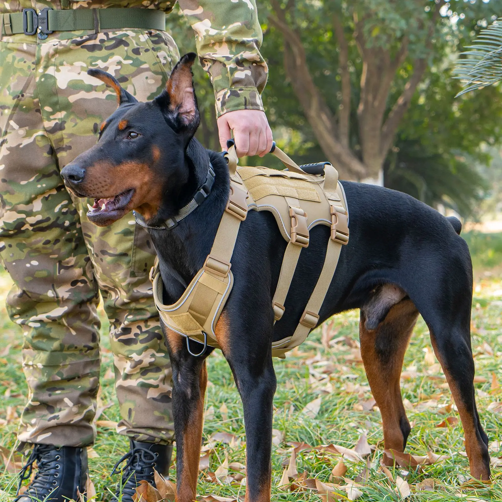 犬のお散歩グッズをコスパ良く揃える方法 - 大型犬用通気性タクティカルハーネスとリードの技術的背景