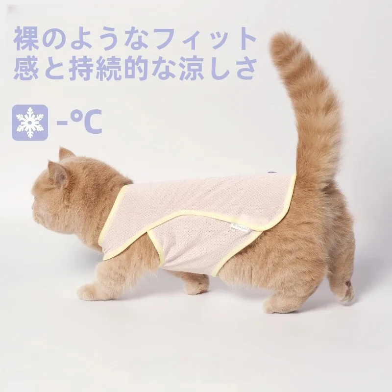 犬のお散歩グッズをコスパ良く揃える方法　完全ガイド