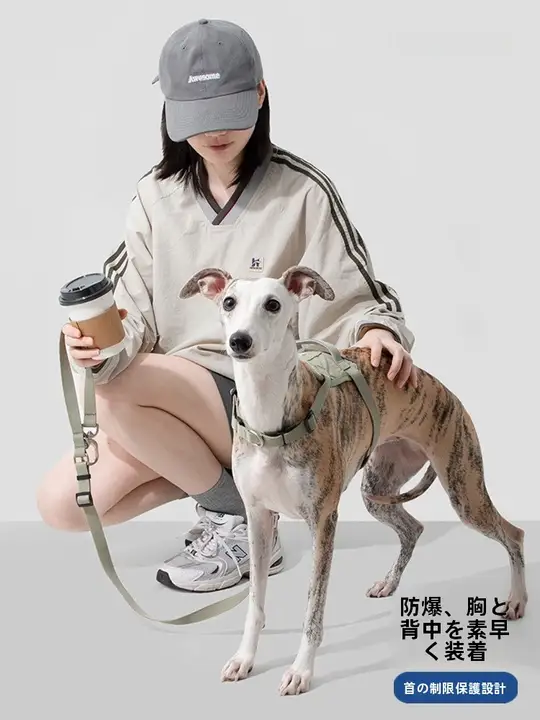 犬用 胸部ハーネス【通気性・防爆・お出かけ用】