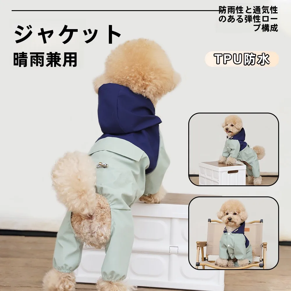 犬のお散歩グッズをコスパ良く揃える方法｜晴雨兼用レインコートの選び方と実際の使い方