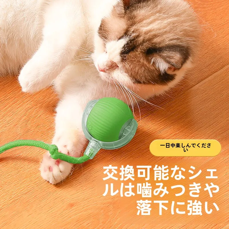 くすぐり機械を選ぶべきタイミングは？ハプトロックの「猫のおもちゃ 電動 自発的な 退屈解消器 衝突回避」がなぜ人気なのか