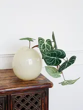 擬似カラーニンフニア植物 インテリア装飾 フラワーアレンジメント 人工花
