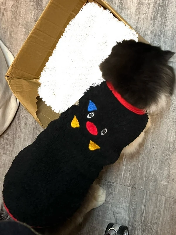 猫レディースとは？その本質と、冬の日常にどう取り入れるか