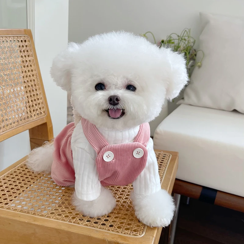 犬アウトレットで選ぶべきアイテムは？クマ刺繍サロペットが今、なぜ人気なのか