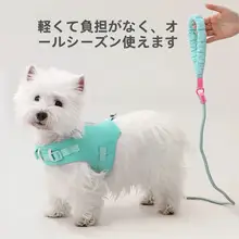 小型犬用 ハーネス型リード【コーギー・テディ・ウェスティ・防止首圧】