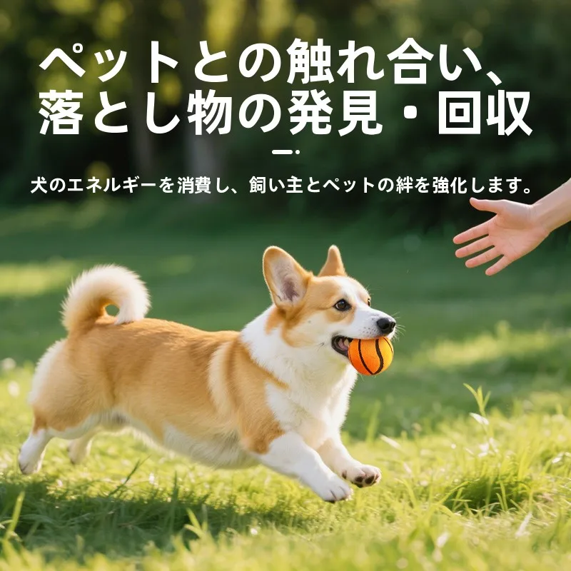 犬のお散歩グッズをコスパ良く揃える方法｜音が出る3点セットボールの実用性徹底解説