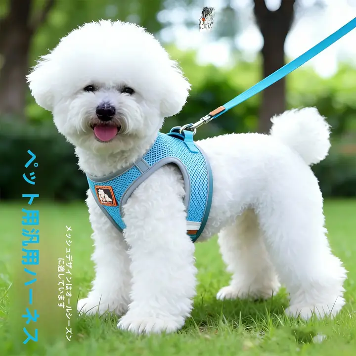 夏用通気性バスト付きハーネス犬用リード【小型犬・猫兼用・散歩用】