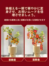 新居にぴったりな緑植飾り トップに福字付き小型掛け飾り【移転祝い・インテリアデコレーション】