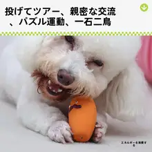 犬用ラテックスおもちゃ【発声・野菜デザイン・耐噛性・中小型犬対応】