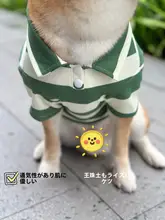 秋用のペット用コットンPOLOシャツ【薄手・通気性・柴犬・シュナウザー・コーギー対応】