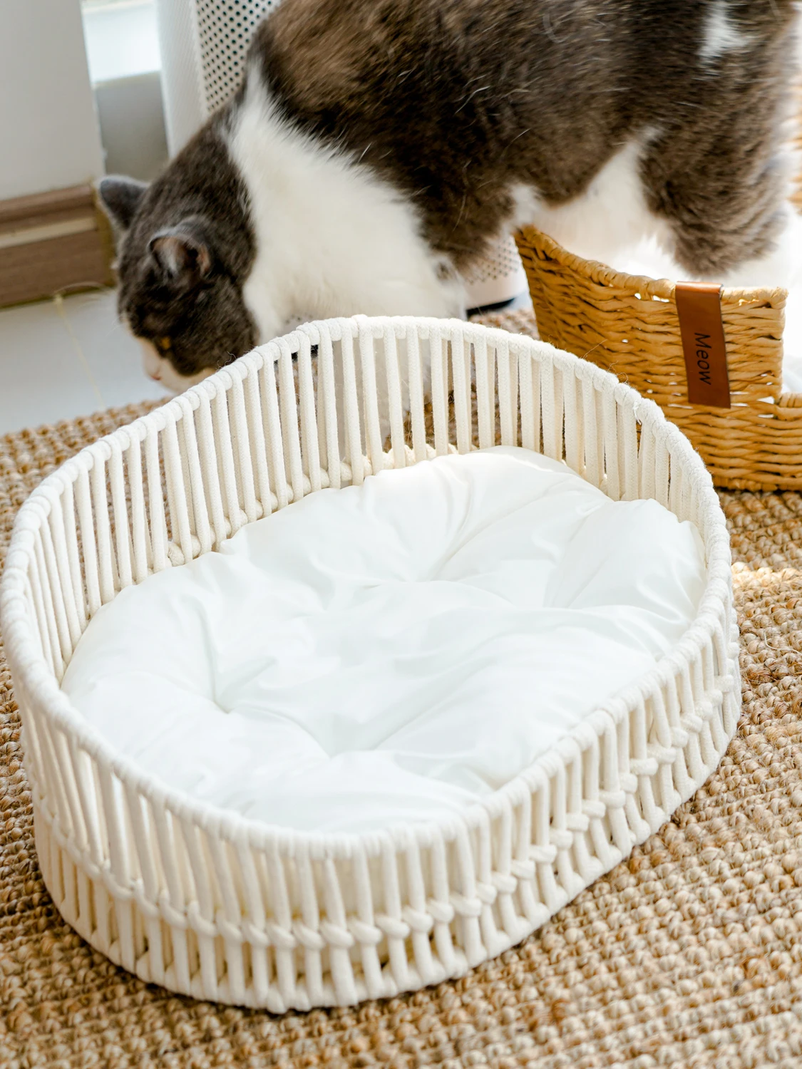 猫飼いが買ってよかったもの・悪かったもの正直に言う｜藤製キャットベッドの安心感と通年使い方徹底解説