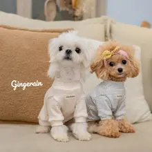 GINGERAIN 小型犬用オーガニックコットンストライプセーター【保温・アレルギー対応・4色展開】