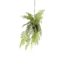 吊り下げ用のシダ植物 多肉植物 店舗のウィンドウ 壁面装飾 フェイクグリーン 創造的