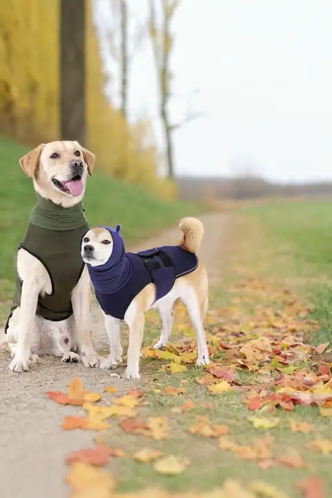 中大型犬用 安心感を与える防音衣【温かい・雷や驚きに対応】
