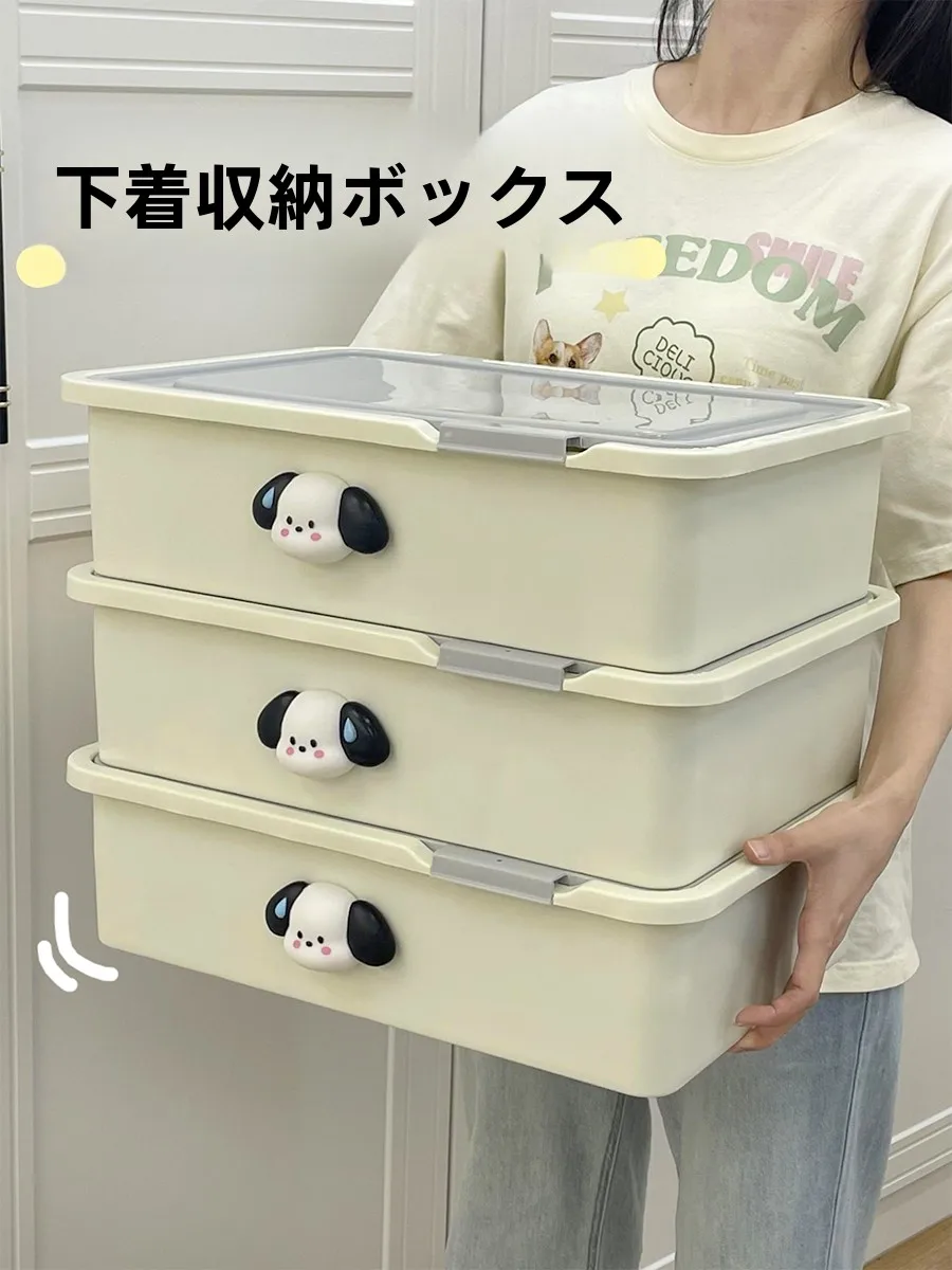 クローゼットの下着収納が苦手？この1つのボックスで整理のハードルを下げられる