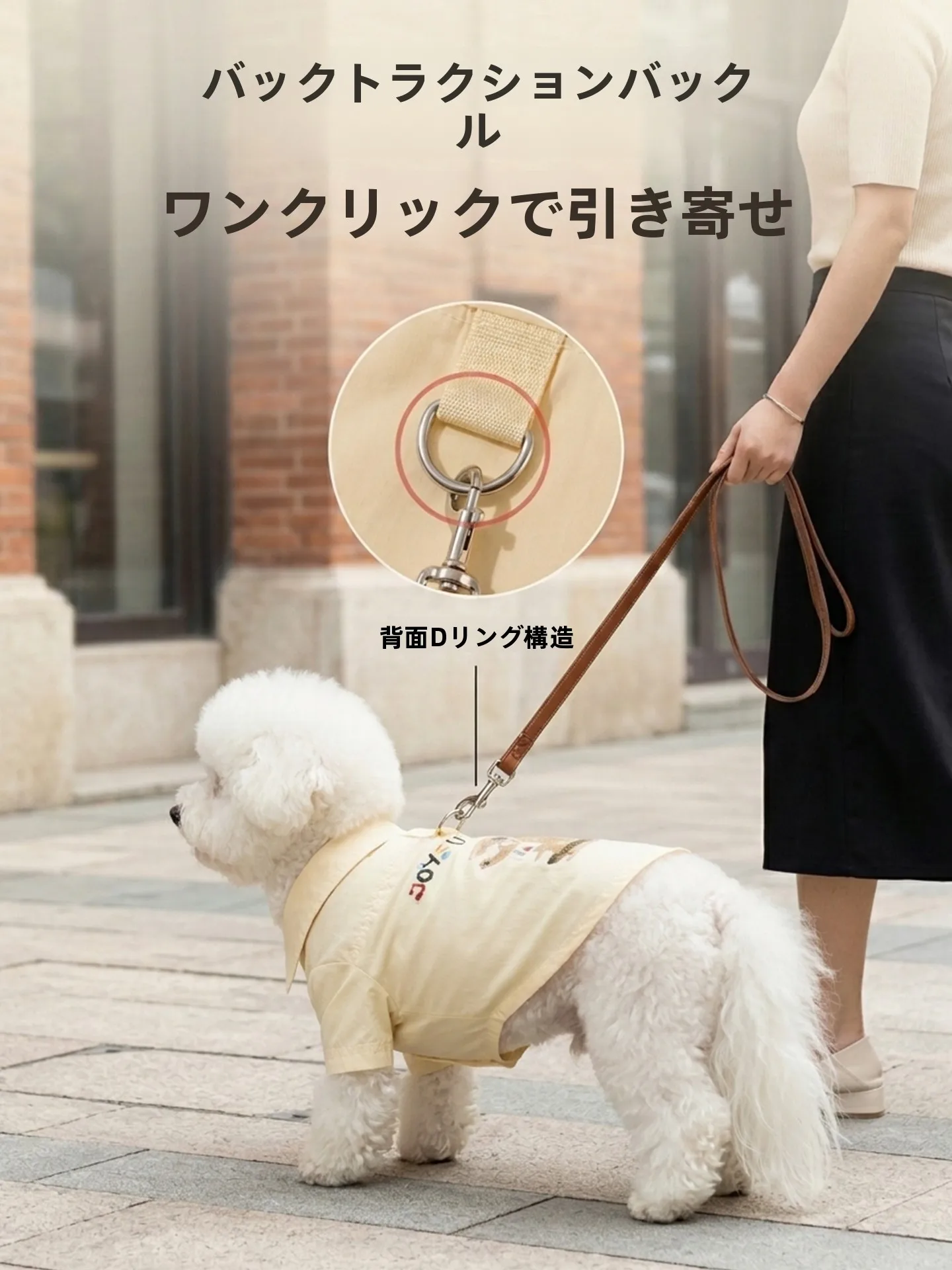 トイプードル用おしゃれシャツ ブランド hipidog の実用性とサイズ選びのガイド