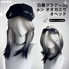 男女兼用 中長髪ウィッグ【黒白グラデーション・中分けスタイル・ナチュラルな仕上げ】