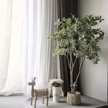フェイツリー 大型植物 室内 家具 グリーン デコレーション
