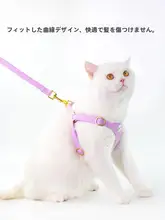 猫用調整可能なハーネス付きリード【脱走防止・お散歩用】