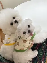 可愛らしい春用ペット服【薄手・犬用キャミソール・中小型犬対応】