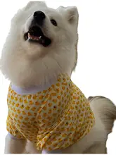 犬用肘保護服【サモエド・ラブラドール向け・防汚・外出用】