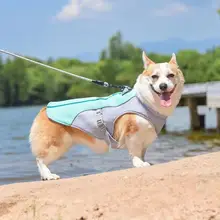 通年使用可能なペット用クールベスト【調節可能・中大型犬用・通気性抜群】
