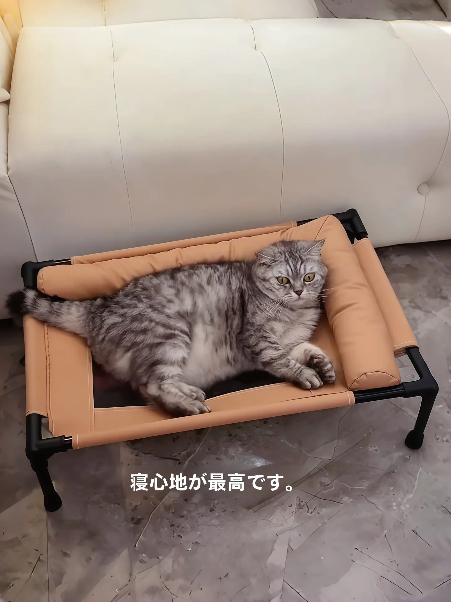 大型犬の飼いやすいベッドとしての通気性リフト式ベッドの実用性