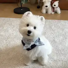 可愛い犬用よだれかけ【リボン付き・小型犬・猫用】