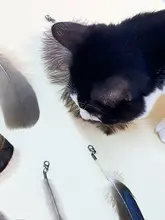 天然羽毛を使用した猫用おもちゃ【フェザー付き・猫じゃらし】
