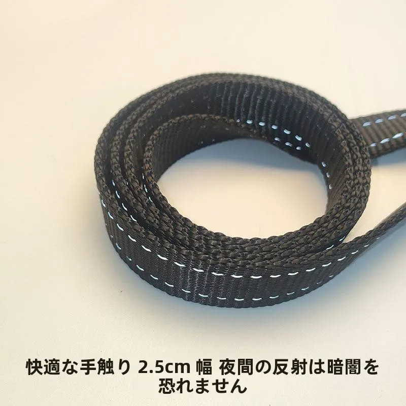犬のお散歩グッズをコスパ良く揃える方法　完全ガイド