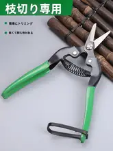 強力樹枝剪定鋏【金属製・果物や鉄皮の剪定に最適】