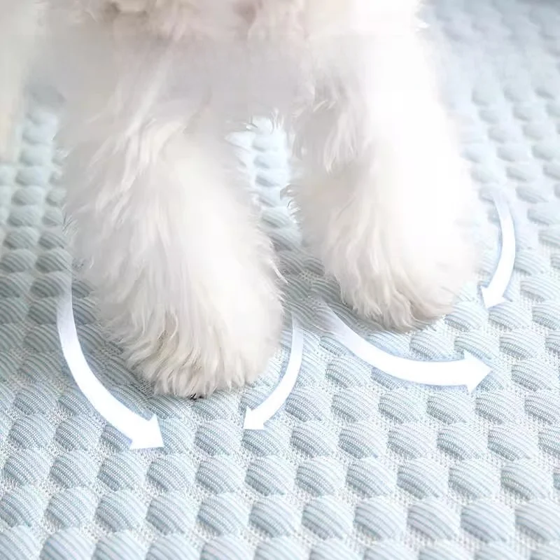 夏用小型犬用クールドッグベッド：通気性と洗濯可能が実用性を支える