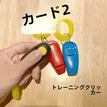 トイプードル向け 犬のおもちゃ訓練器【音鳴りおもちゃ・トレーニングホイッスル】