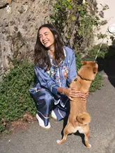多バニンテリ犬デザインのシルクパジャマ【極上の柔らかさ・カジュアルルームウェア】（セットアップ対応）