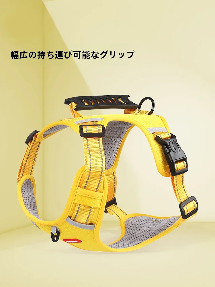 犬のお散歩グッズをコスパ良く揃える方法　完全ガイド