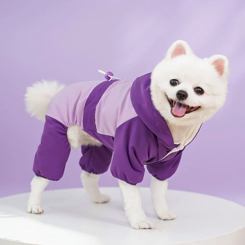 犬のお散歩グッズをコスパ良く揃える方法｜ボア素材で実証された選び方の完全ガイド